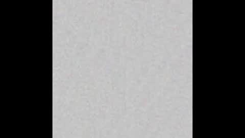 Arianna Collins online show from February 2026 11:44:01 AM