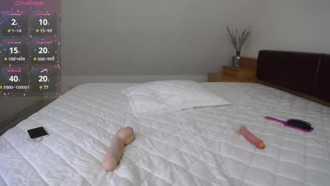 arinamir online show from December 2024 03:20:02 PM