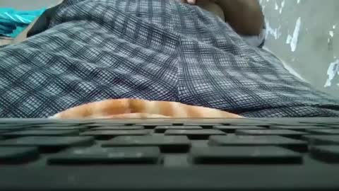 Snapshot of art_max99xxx chatting on January 2025 11:13:02 PM art_max99xxx online show from January 2025 11:13:02 PM