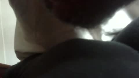 Arteblazze not daddy boy bitch or nigga online show from February 2026 05:06:02 PM