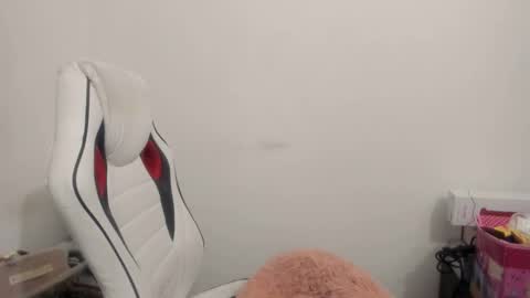 Snapshot of artsyandcraftsy_ chatting on November 2025 10:52:01 PM MIA online show from November 2025 10:52:01 PM