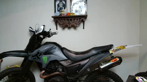 ash_wingrant online show from November 2025 09:44:02 AM