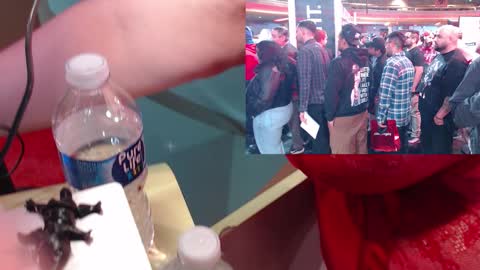 SweetAshCheeks online show from January 2026 04:05:01 AM