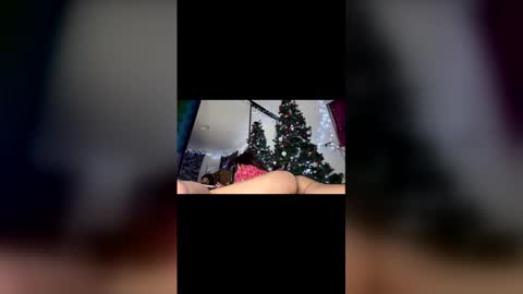 Snapshot of asian_babeee chatting on December 2025 01:00:01 AM asian_babeee online show from December 2025 01:00:01 AM