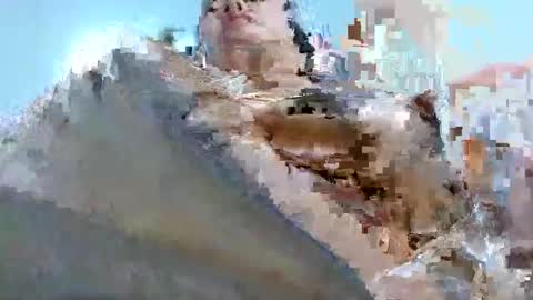 Tabby online show from March 2026 02:57:01 PM