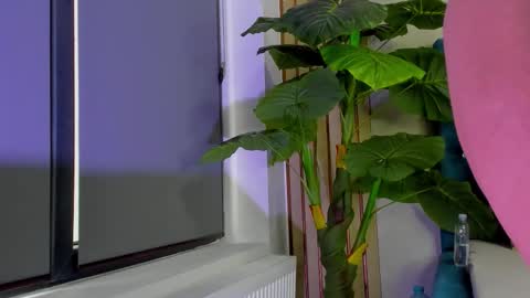 AsshleySing online show from February 2026 06:00:02 AM