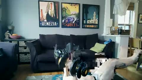 assmaster_6100 online show from February 2025 08:52:02 PM