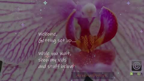 Atrena online show from January 2026 02:38:01 AM