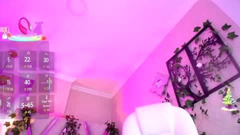 Aurora online show from December 2025 06:12:02 AM