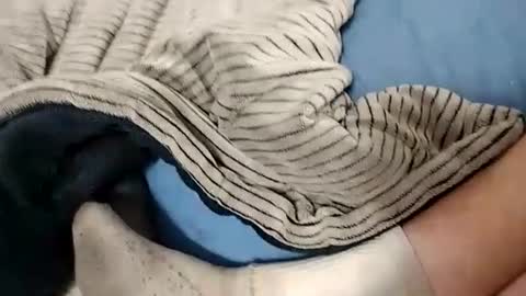 Lex online show from October 2025 04:24:01 AM