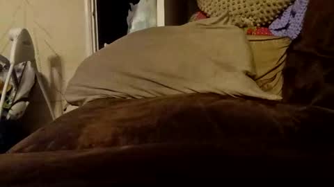 averageguy213396 online show from May 2026 11:54:02 PM