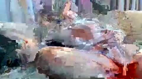 averagejoe2025 online show from November 2025 01:22:01 AM