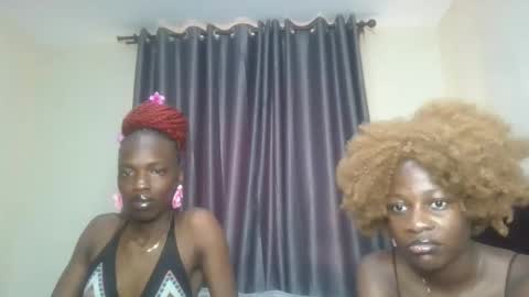 Avian online show from March 2026 12:12:02 PM