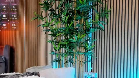 AVRILL CYRUX online show from January 2025 11:49:02 AM