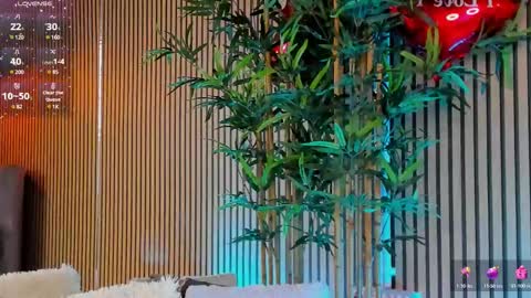 AVRILL CYRUX online show from February 2025 01:22:02 PM