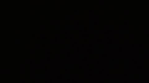 Alex online show from February 2026 05:16:02 AM