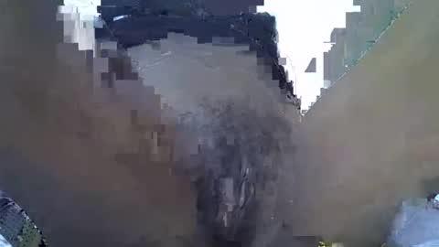 baby_facii online show from November 2025 07:55:02 AM