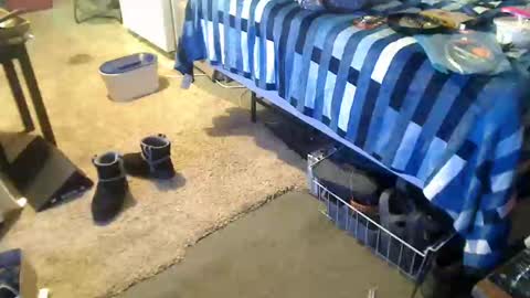 Snapshot of badnews68 chatting on December 2024 04:36:02 AM StillPoPimpin online show from December 2024 04:36:02 AM