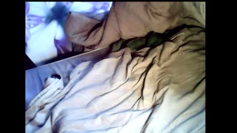 Baghira online show from February 2026 12:15:01 PM