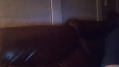 bake66999 online show from February 2026 06:18:02 AM