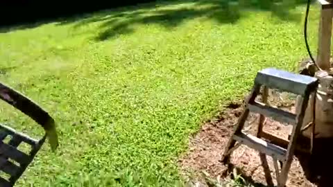 ballshanginglowaf online show from September 2025 07:36:02 PM