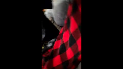 Dani1954 online show from December 2025 07:24:01 AM