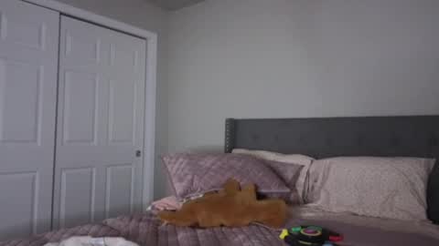 bambifarrina online show from October 2025 01:56:01 AM