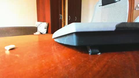 BananaBoy online show from February 2025 09:43:01 AM