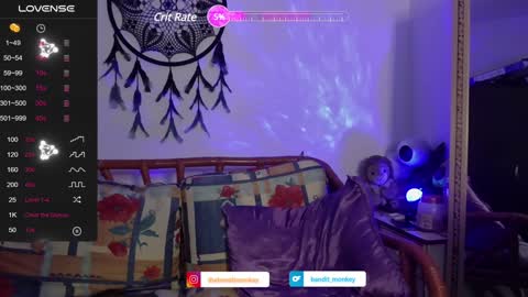 Snapshot of bandit_monkey chatting on January 2025 01:32:01 AM V E R O N I C A online show from January 2025 01:32:01 AM