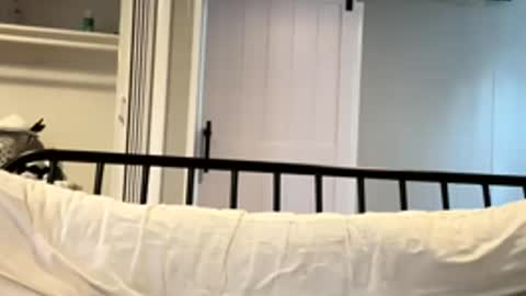 Snapshot of barbiegutzfan3 chatting on March 2026 06:59:02 PM Tsbaby301 online show from March 2026 06:59:02 PM