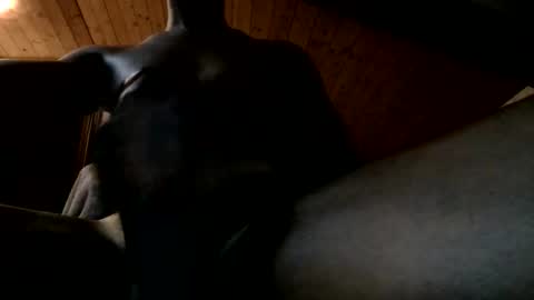 Snapshot of bbc4bearsndaddies chatting on June 2026 09:39:01 PM Ferdinandooo online show from June 2026 09:39:01 PM