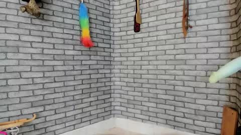 Meduza  online show from November 2025 03:48:02 PM