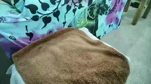 Snapshot of be4your_desire chatting on May 2026 09:25:02 AM mikiforfun online show from May 2026 09:25:02 AM
