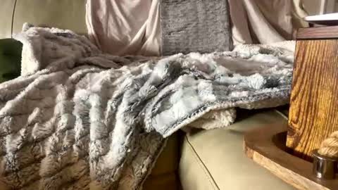 BeachyMILF online show from November 2025 05:26:02 PM