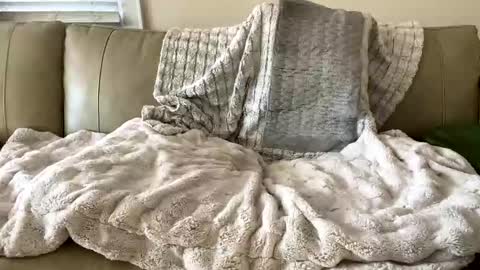 BeachyMILF online show from November 2025 07:38:01 PM