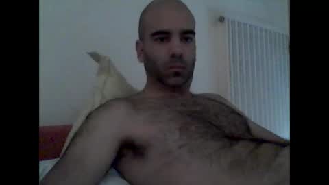bear14250949 online show from October 2025 09:10:01 AM