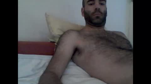 bear14250949 online show from October 2025 09:06:02 AM