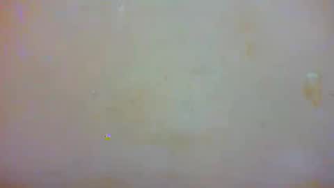 Snapshot of beaute_choco chatting on January 2025 02:02:01 AM Eva online show from January 2025 02:02:01 AM