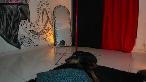 Snapshot of beelzebosss chatting on January 2025 12:42:01 AM Daniela ur fav living dead girl online show from January 2025 12:42:01 AM