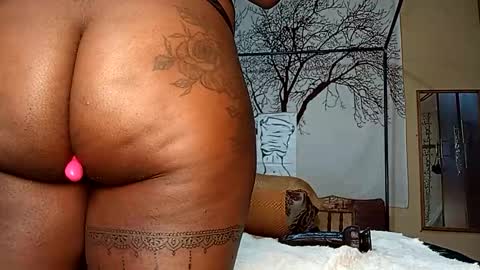 beencee2 online show from November 2025 03:18:02 AM