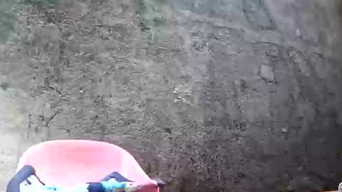 Tezza online show from February 2025 08:53:02 AM