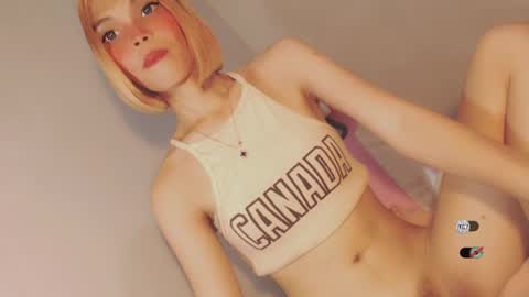 Snapshot of bella_tara chatting on December 2024 07:33:02 AM Bella online show from December 2024 07:33:02 AM