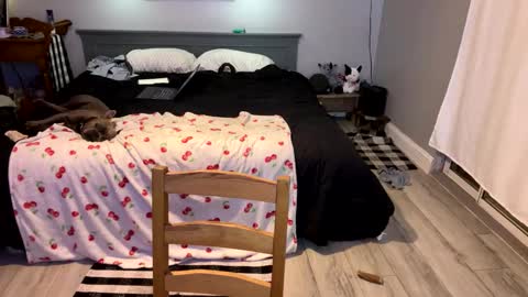 Roxy Rain online show from March 2025 04:00:02 PM