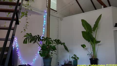 BELLE   online show from January 2025 04:48:01 AM