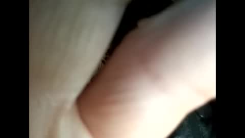 - online show from March 2026 11:28:02 AM