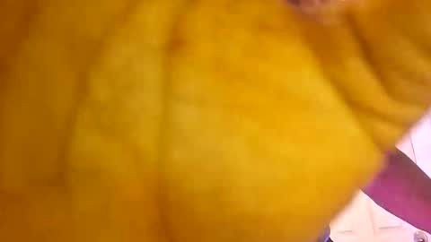 bestwithwords online show from June 2026 10:57:01 PM