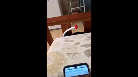 bf2506 online show from February 2026 04:18:02 AM