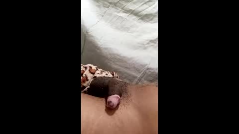 Snapshot of biel369737 chatting on March 2026 04:36:02 AM biel369737 online show from March 2026 04:36:02 AM