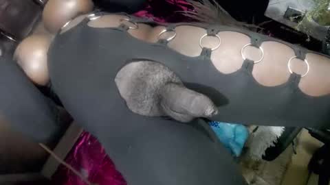 big_trans online show from January 2026 05:18:01 PM