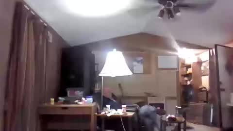 Snapshot of bigbenidick1 chatting on January 2025 08:37:02 PM BB online show from January 2025 08:37:02 PM